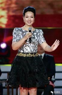 天津公安局刘桂娟照片,天津公安局女警风采映照正义之光