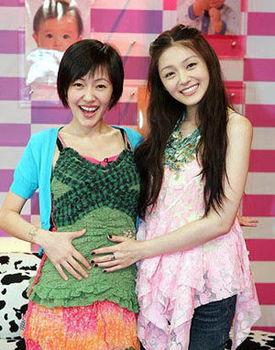 大s资料简介,从明星到贤妻良母的华丽蜕变