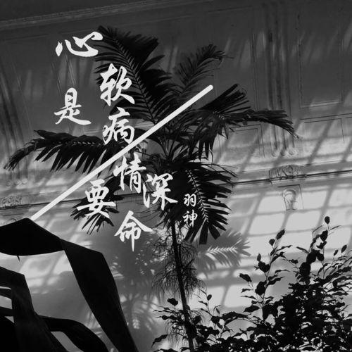 要命局中局背景音乐