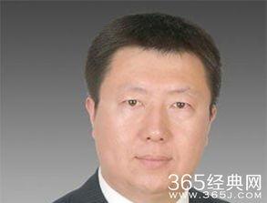 鲁豫老公朱雷资料,鲁豫背后的神秘丈夫,揭秘他的传奇人生