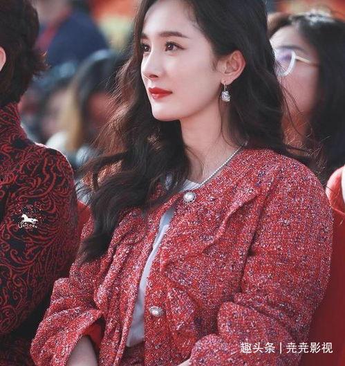 娱乐圈劳模杨幂,娱乐圈劳模的奋斗与辉煌